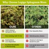 Legigo 14 OZ Sphagnum Moss for Reptile- 16 QT Natural
