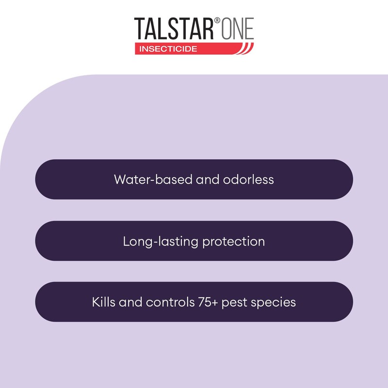 Talstar One Insecticide 1 Gallon | Powerful Bifenthrin Bug Spray