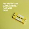 Peppersmith 100% Xylitol Mints, Sicilian Lemon and Fine English Peppermint,