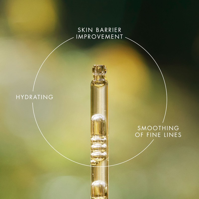 Eve Lom Renewal Treatment Oil 30 ml