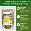 GARDENWISE 10 10 10 Plant Fertilizer Balanced Granular All Purpose