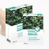 Eucalyptus sap patch 30 sheets foot care patch / 유칼립투스 수액 패치 30매 발관리패치