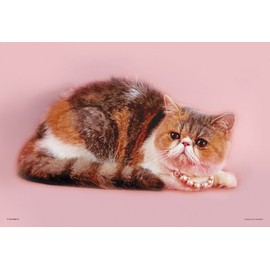 108ピース ジグソーパズル ぶさカワ アリスおすまし ラージピース(26x38cm)