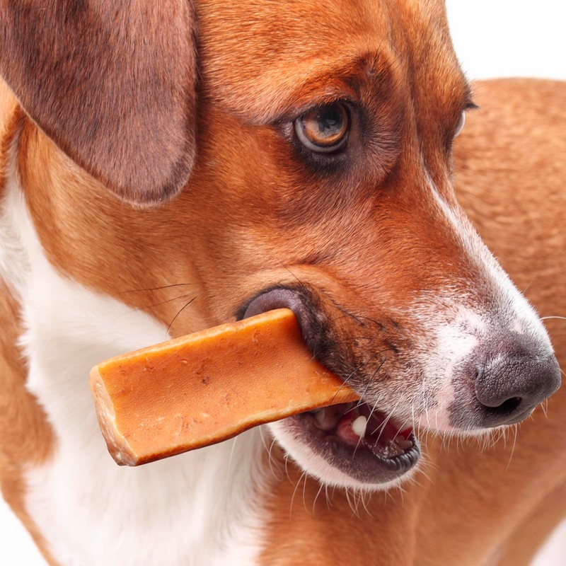 Fuzzl Yak Chews Pumpkin, Peanut Butter, Blueberry Medium Pack 3