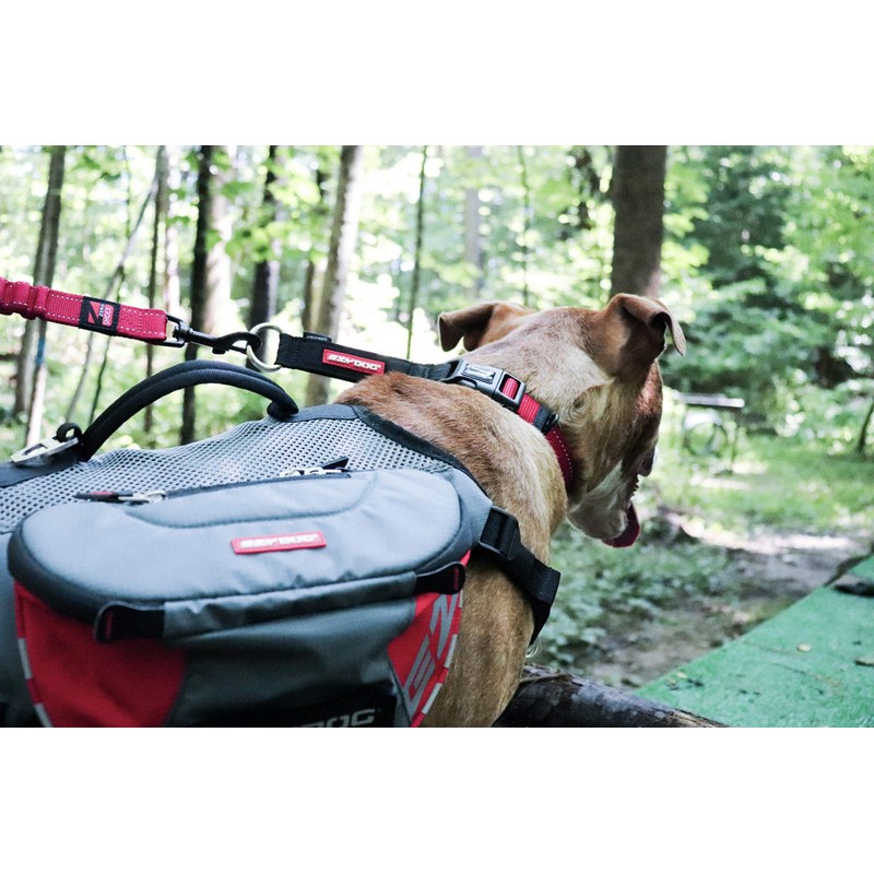 新東亜交易 EzyDog Checkmate , blk