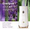Glade Automatic Spray Refill, Air Freshener for Home and Bathroom,