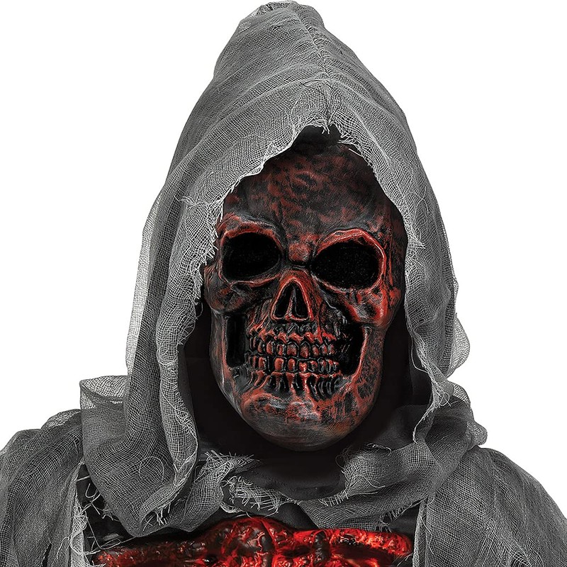 Fun World Smoldering Reaper Costume, Medium, Multicolor