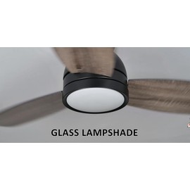 Carro 44" Ceiling Fan with Light Flush Mount, DC 10 Speeds Silent Ceiling Fan with Remote, Low Profile Ceiling Fan with 3 Dual Finish Blades, 3 Light Colors Dimmable LED Ceiling Fan for Living Room