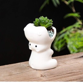 Gemseek Cute Hippo Succulent Planter Pot with Bamboo Drainage Tray, White Ceramic Cactus/Flower Container, Animal Bonsai Holder for Indoor Plants