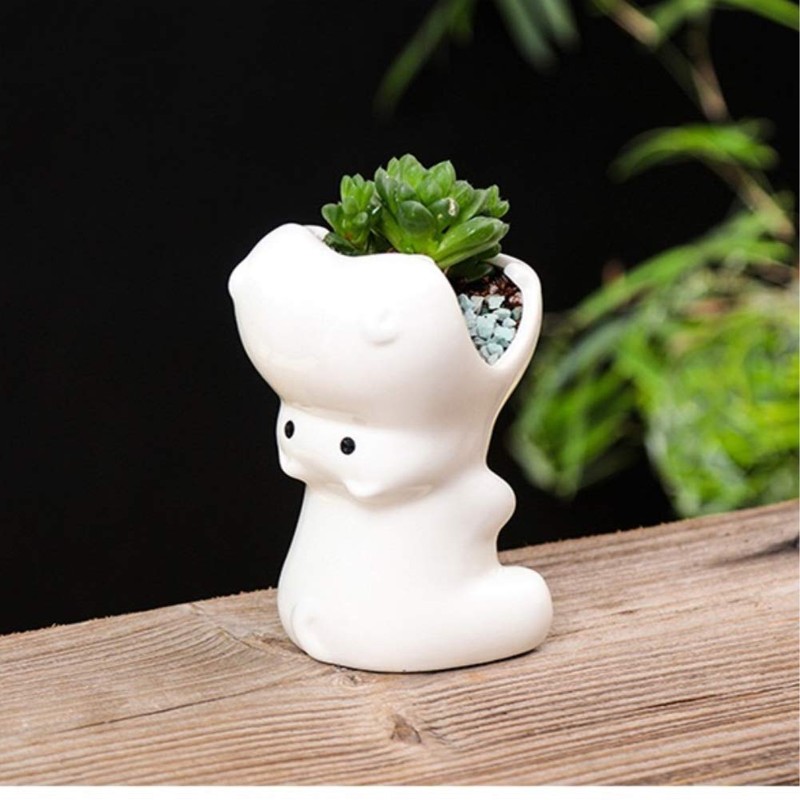 Gemseek Cute Hippo Succulent Planter Pot with Bamboo Drainage Tray,