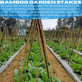 VBS - Bamboo Garden Stakes - Bambo Sticks, Bamboo Plant Stakes for Outdoor Plants, Plant Support Stakes for Indoor Plants (4 Foot - 50 Pack)
