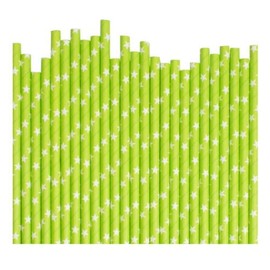 Paper Straws 30 Pcs Pack Green with White Star 6mm Biodegradable Drinking, Birthday, Party, Christmas, Xmas, Cafe, Restaurant, Wedding Straw in Bulk