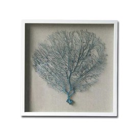 Home Decor Coastal Seaweed III Canvas Wall Art Shadow Box, Sea Life Home Decor