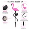 Peacock Solar Garden Light for Outdoor Decor – IP65 LED