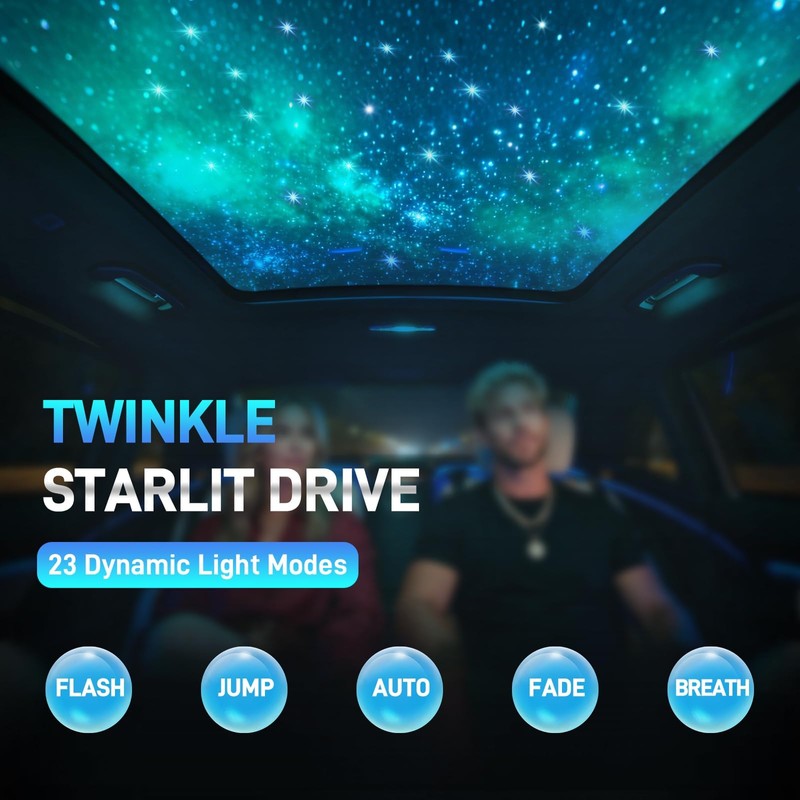 Twinkle Starlight Headliner Kit, 500pcs 0.03in/9.8ft, 16W LED Star Ceiling