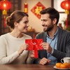 Hopzab 2 Pcs Chinese Silk Red Envelopes, Traditional Lucky Money
