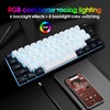 Snpurdiri Snpurdiri 60% Wired Gaming Keyboard, 61 Keys RGB Backlit
