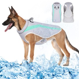 Vivi Bear Cooling vest for dogs with harness for summer, ice cooling coat for dogs, small, medium, cooling jacket, reflective safety vest for dogs, walking, outdoor (green, XL)