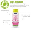 Ancol Dog Shampoo BB Baby Bath, Pink, 200.0 millilitre