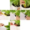 13 Pieces Bonsai Tools Set Succulent Mini Garden Hand Tools