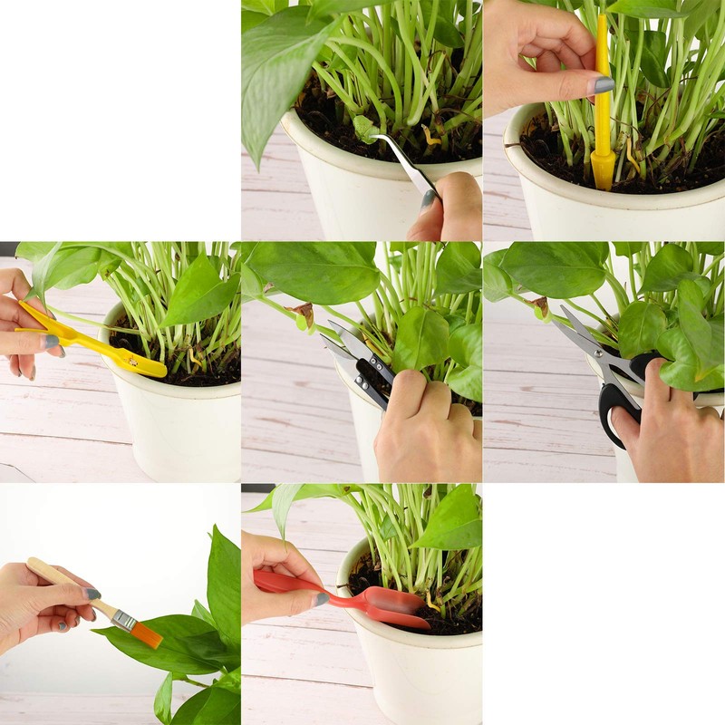 13 Pieces Bonsai Tools Set Succulent Mini Garden Hand Tools