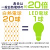 アイリスオーヤマ LED電球 フィラメント シャンデリア球 口金直径12mm 25W形相当 電球色 全配光 密閉器具対応 クリア