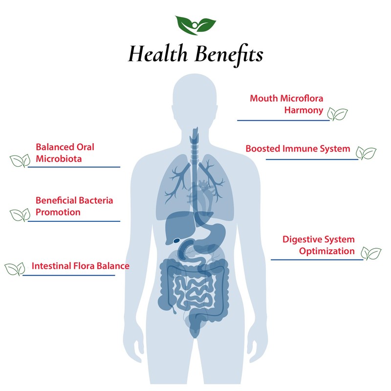 Foods For Gut Lactobacillus Bulgaricus Probiotic Powder 50 Billion cfu's