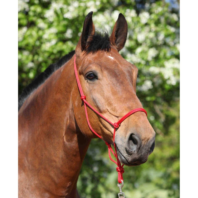 Hunters Saddlery Natural Horsemanship Rope Halter Headcollar Compatible with Parelli