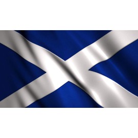 WS UK Large Country Flag 3x5ft with Eyelets [Scotland]