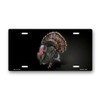 Turkey on Black License Plate