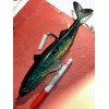 OC 2 Mackerel Monster Swim-bait 10-1/2in. Iridescent Soft 9.5oz. (270g.)