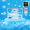 SOFY Cooling Fresh Sanitary Pads Set - Large 20P