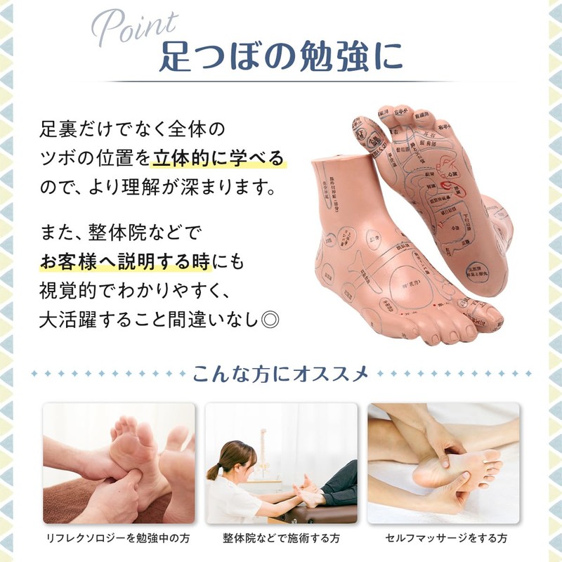 【Recommended by Bodywork Therapists, Easy to Understand Japanese Text, Systematically
