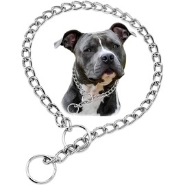 Chain Dog Choke Collars for Medium Dogs, Metal Slip Link Training Heavy Duty Dog Choker Collar Martingale Puppy Collars for XXS XS Small Medium Large Big XL Breed Dogs (Silver, M)