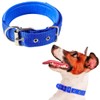 Collar para Perro Ajustable Duradero Elegante Suave Acolchado Transpirable Ajustable