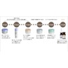 PURELIVE MEMORY WRINKLE CREAM-KH762079 Memory Cream
