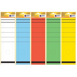 Avery Zweckform L4813-10 Individual Folder Labels for Wide Folders 10 Sheets with 10 Labels Each Long 297 x 61 mm Opaque/Green