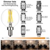 LiteHistory Dimmable e12 led Bulb g16.5 led Light Bulbs g16