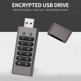 Encrypted USB Drive Secure Flash Drive 64GB AES256-bit USB 3.0 Hardware Password Memory Stick Aluminum Alloy Shell Flash Disk Automatic Lock U Disk (64, GB)