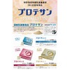 Protesan B 31 packets (Concentrated Lactobacillus FK-23, equivalent to 300