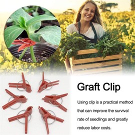 600 Pcs Gardening Plant Round Mouth Grafting Clips Vegetable Clips Plant Grafting Clips for Cucumbers, Eggplants and Watermelon