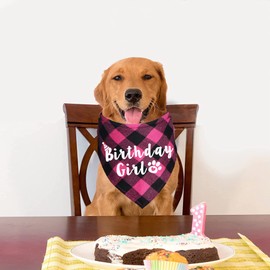 JOTFA Plaid Dog Bandana for Birthday Party Supplies (Pink)