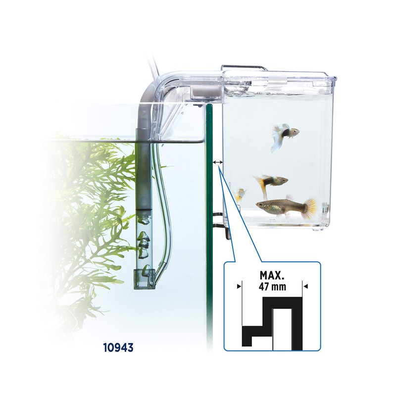 Fluval Multi-Chamber Holding and Breeding Box, Large – Up To