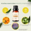 Aceite Esencial Tranquility and Well-Being, Mezcla de Lavanda, Naranja y