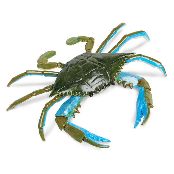 Safari Ltd. | Blue Crab | Incredible Creatures | Toy Figurines for Boys & Girls