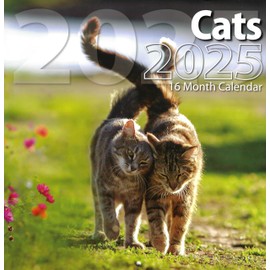 2025 Cats Full Size Wall Calendar for Planning, Scheduling, and Organizing