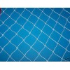 Goodwin Netting 75' x 16' POULTRY NETTING GAME BIRD NET AVIARY NETS 2" #208 45 LB. TEST -2"