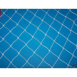 Goodwin Netting 75' x 16' POULTRY NETTING GAME BIRD NET AVIARY NETS 2" #208 45 LB. TEST -2"