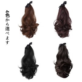 LS Fer Pile Curl Point Wig, Length 9.8 inches (25 cm), 13.8 inches (35 cm), 4 Colors Available, Women's Wig, One-Touch Wig, Hair Band, Extension, Hair Band, Extension, Easy to Put on and Take Off Wig (17.7 inches (45 cm), Deep Brown)
