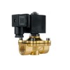 FSA Viton Solenoid Valve Brass 1/2 Inch 24 V AC